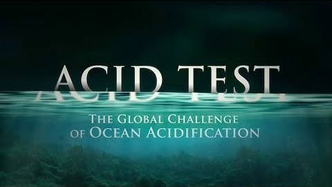 Acid Test: The Global Challenge of Ocean Acidification