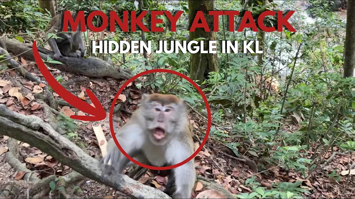 Wild Monkey Chaos at Batu Caves | Kuala Lumpur’s Most Dangerous Market!