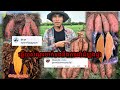 ឆ្លើយសំណួរទាក់ទងនឹងដំណាំដំឡូងជ្វា