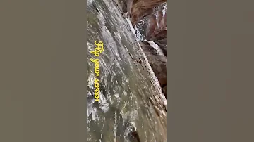 Feeling the flow at Narrows trail, Zion national park