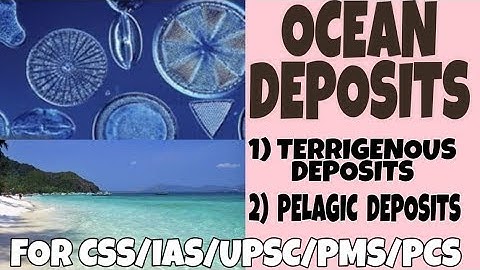 Ocean Deposits | Terrigenous Deposits | Pelagic Deposits