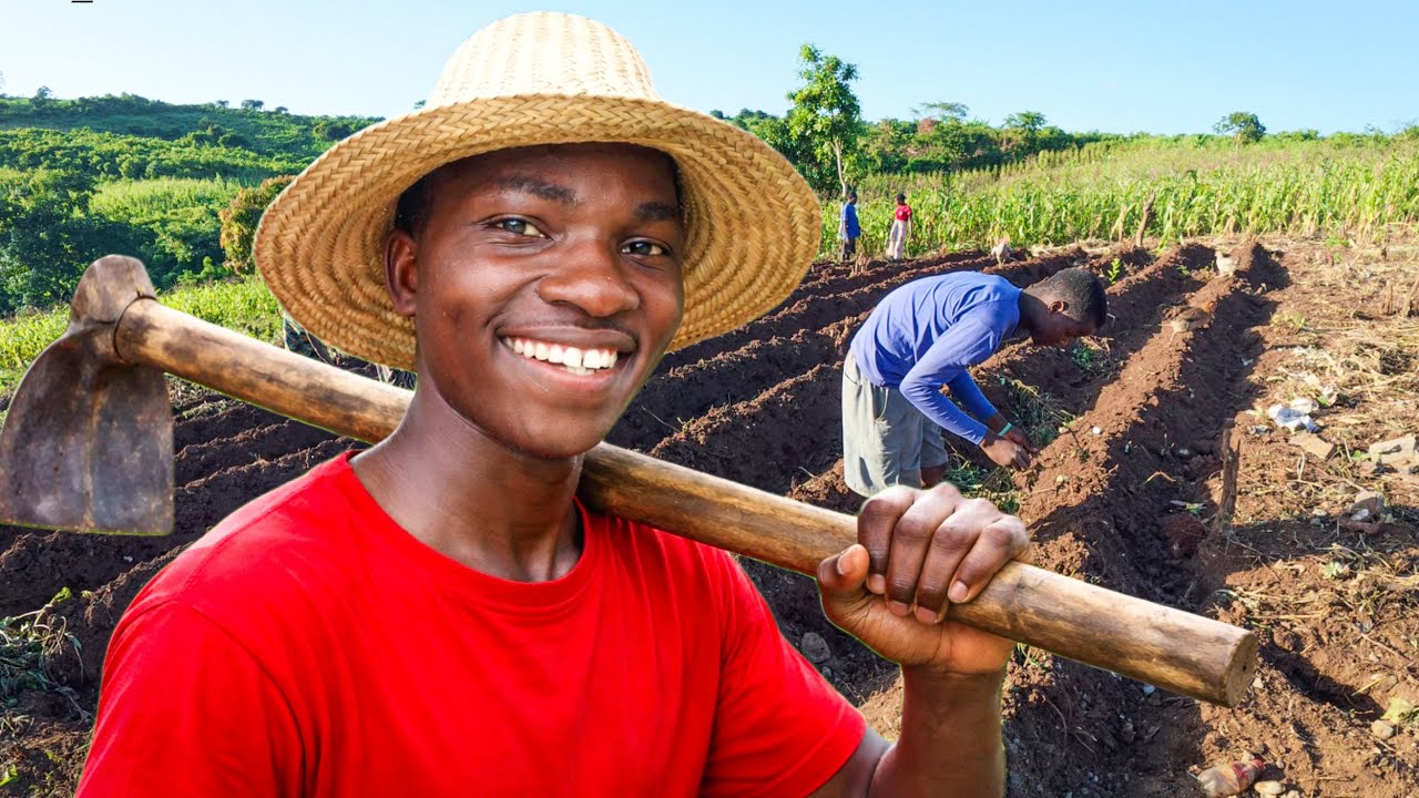 Novas Culturas na Roça… Vai Dar Certo?