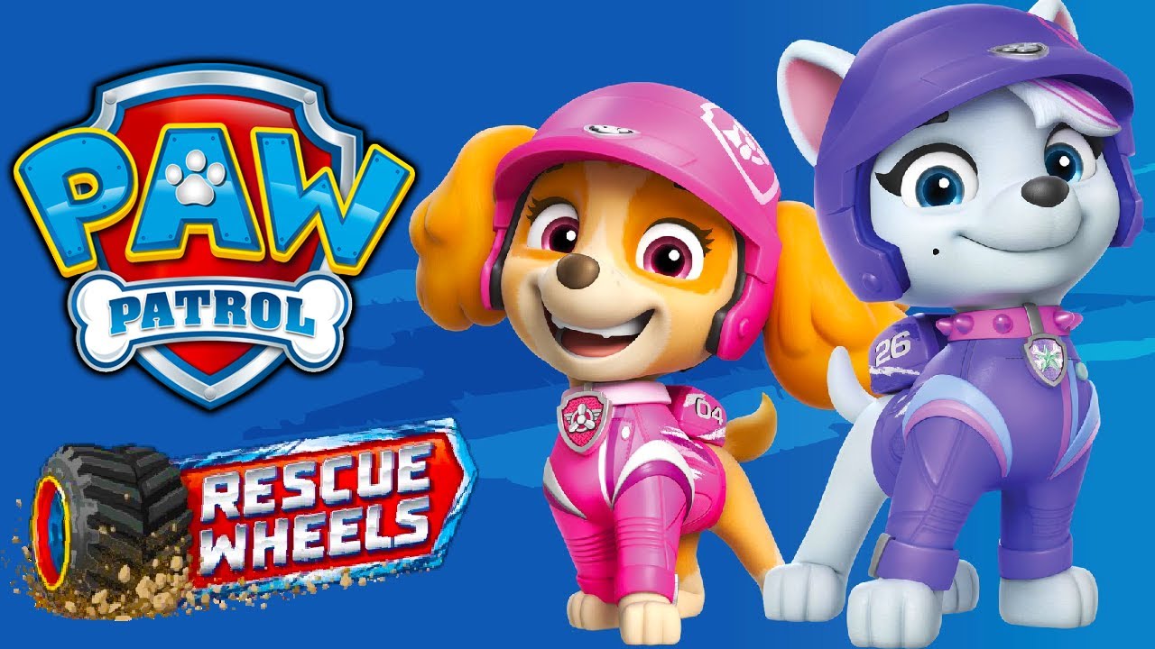 Spielzeug Video mit der Paw Patrol für Kinder - Geburtstagsüberraschung für Skye