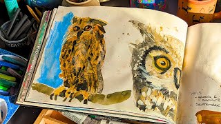 Sketchbook tour - owls, monkeys, and cats, oh my!