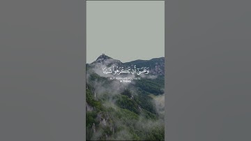 سورة البقرة الآية 216  #raadalkurdy #راحة_نفسية