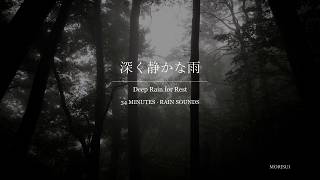 深く静かな雨｜34分・音楽なし｜読書・休息のサウンドスケープ - YouTube