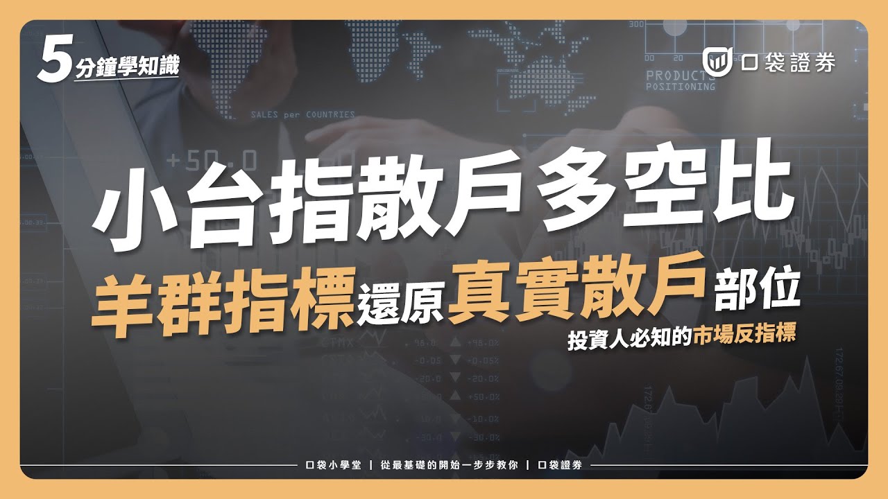 【小台指散戶多空比】＋羊群指標還原真實散戶部位！即時查詢，看散戶動向再跟他們對做，投資人必知的市場反指標｜口袋小學堂EP14｜ #口袋證券  #口袋小學堂 #散戶多空比