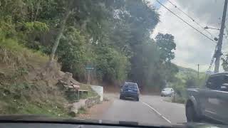 Blue Mountain Jamaica (Holywell) from Papine | Driving Jamaica SPECIAL -Meditation Reggae Music