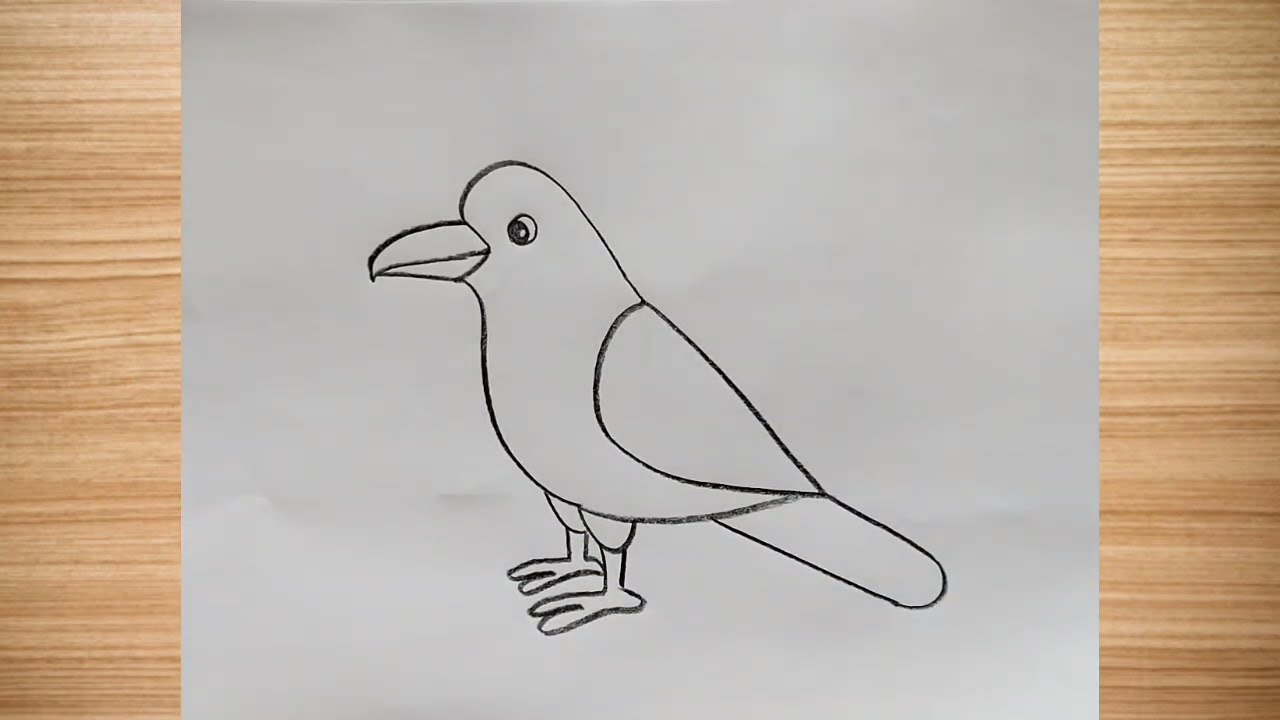 How to draw crow drawing easy step by step || crow drawing