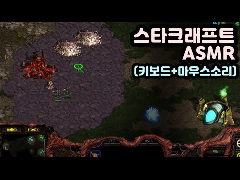 【ASMR】 스타크래프트 밀리 게임 | 키보드&마우스 소리 | 비프렌드 G키보드2 플런저키보드 소리 | 스타크래프트 밀리 플레이영상