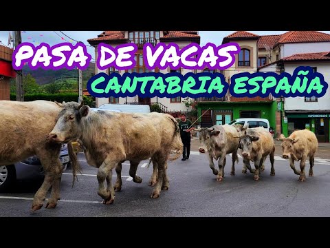 Pasa de Vacas en Puentenansa, Rionansa, Cantabria, Spain
