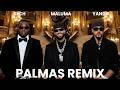 Maluma Yandel Sech Palmas Remix Official Video mp3