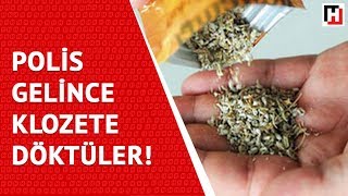 POLİS GELİNCE BONZAİLERİ KLOZETE BOŞALTTILAR Resimi