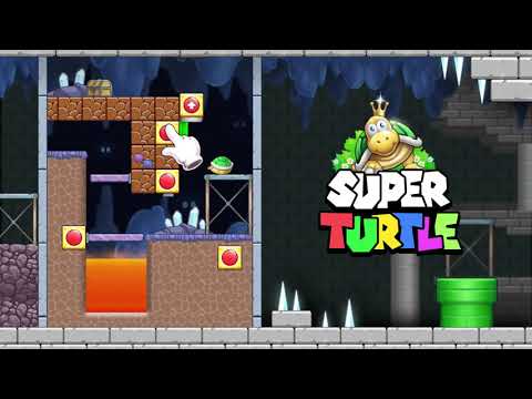 Super Hero Turtle Adventure
