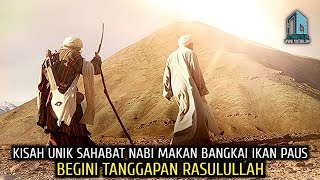 Kisah Sahabat Nabi Temukan Ikan Paus Jadi Bangkai Lalu Dimakan, Begini Tanggapan Rasulullah