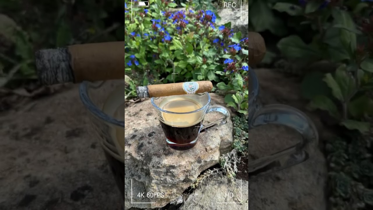 Don Diego Classic Robusto