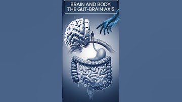 Brain and Body: The Gut-Brain Axis