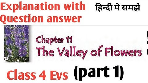 valley of flowers (part 1) Explanation with Question answer Class 4 Evs