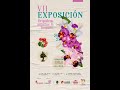 Exposición de orquídeas en La Ceja, Antioquia