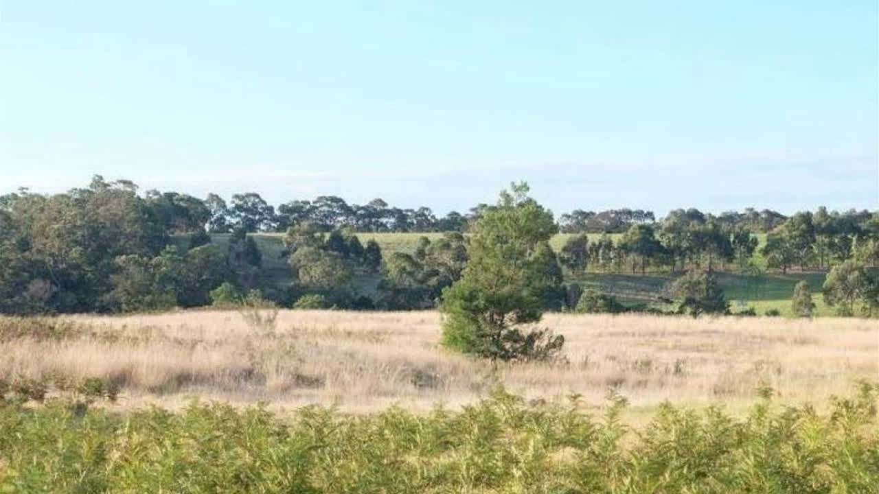 31 Kyra Court Newlands Arm, Victoria YouTube