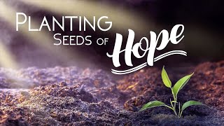 Planting Seeds of Hope