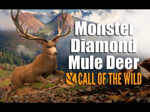 diamond mule deer call of the wild diamond mule deer call of the wild