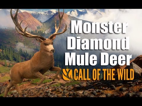 diamond mule deer call of the wild