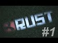 Rust - ?????? ??? #1