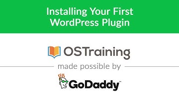 WordPress Beginner Tutorial #19: Installing Your First WordPress Plugin