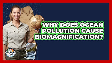 Why Does Ocean Pollution Cause Biomagnification? - The Geography Atlas