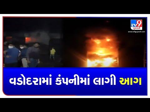 Vadodara: Fire broke out at company in Savli, no casualties reported | TV9News