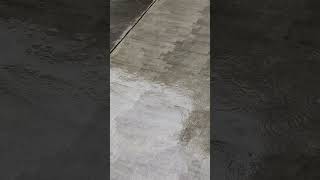 IMG 9840