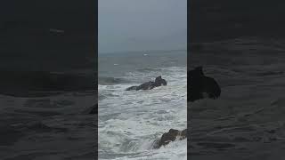 260620 : 거친파도함께 wild waves