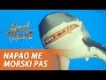 POSTAO SAM PIRAT I NISAM POVRAĆAO - Sea of Thieves (beta)