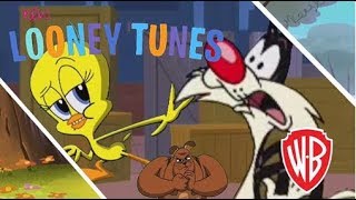 New Looney Tunes | Tweet Team vs The Cats