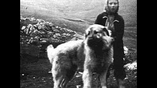 Download lagu Macedonian Folklore - Ajde ne ti lichi, Dafino mome