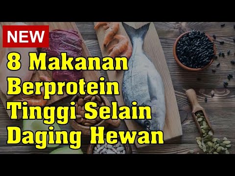 Video: Daging Mana Yang Mempunyai Protein Yang Paling Banyak