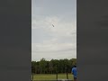 Elkhart Flight Masters Club 3D flying 4site