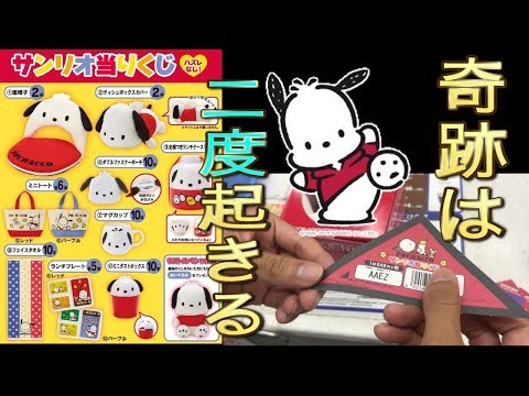 サンリオ - 【非売品】ポチャッコ 当たりくじ ラストスペシャル賞 2/24（土）～順次発売！「ポチャッコ当りくじ」｜サンリオ