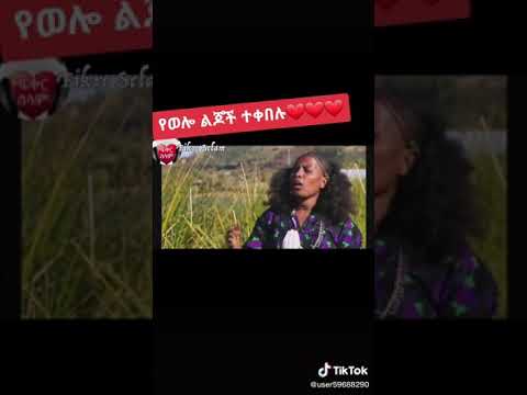 መገን የወሎ ልጅ የወይራ ግድግዳ ከወደደም አይተው ካመነም አይከዳ ወሎዬዎች የት አላችሁ