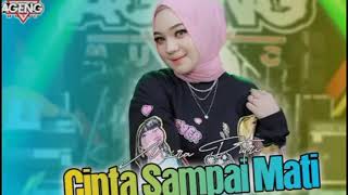 Cinta Sampai Mati || Mira Putri || Ageng Musik