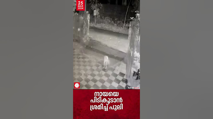 പുനലൂരില്‍ നായയെ പിടികൂടാന്‍ ശ്രമിച്ച് പുലി; സംഭവം ഫോറസ്റ്റ് സ്റ്റേഷന്‍റെ മുറ്റത്ത്; വീഡിയോ |Leopard