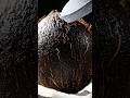 The Most Satisfying Diamond Black Coconut🥥✨ #shorts #asmr #satisfying #dreamscreenai #coconut #viral