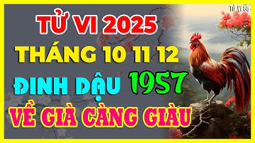 Tử Vi Tháng 10,11,12 Âm, Tuổi Đinh Dậu 1957 Tài Lộc Bừng Sáng, Cơ Duyên Tới Tấp