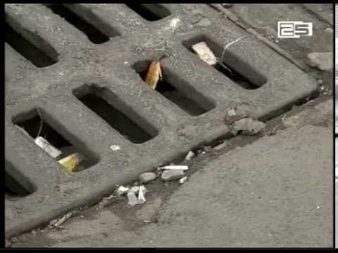 გამოიღო თუ არა ნარჩენების მართვის გამკაცრებულმა კოდექსმა შედეგი