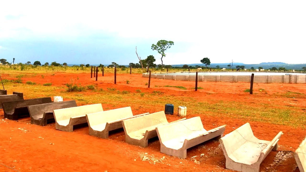 Cocho de Ferro Cimento Mais Usado na Pecuária