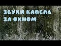 Тем, кто любит #дождь за окном. #Звуки капель.