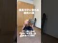 【下っ腹に効く】腹筋下部を狙った自重トレ3種目#自重トレーニング #腹筋 #筋トレ