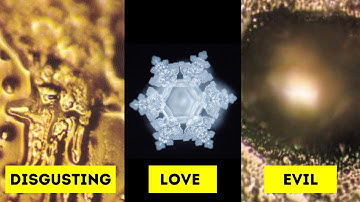 Water Has Memory! Dr. Masaru Emoto