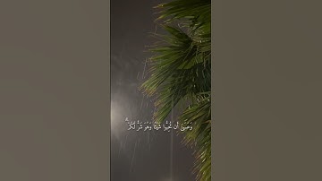 وَعَسَىٰ أَن تَكْرَهُوا شَيْئًا وَهُوَ خَيْرٌ لَّكُمْ ۖ #سورة_البقرة#فارس_عباد_تلاوة_خاشعة🤍🌸